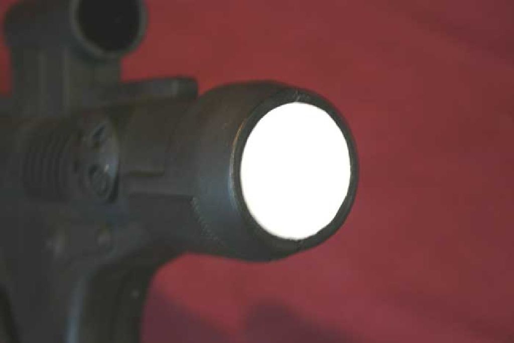 Rear Plate Mounted